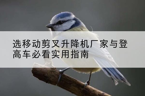 利辛电动升降机厂家-选移动剪叉升降机厂家与登高车必看实用指南