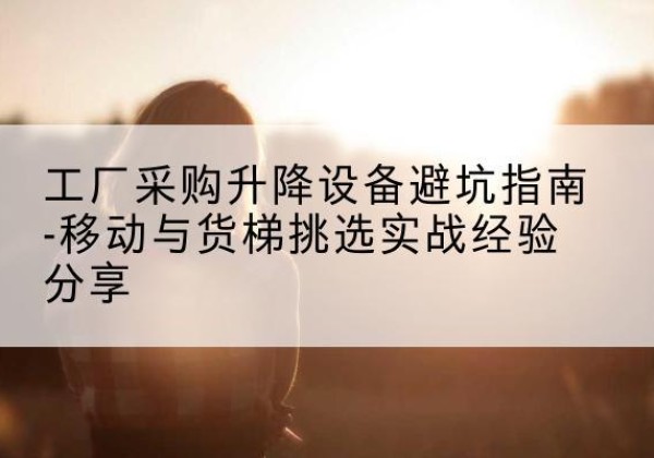 利辛移动式升降机怎么选-工厂采购升降设备避坑指南-移动与货梯挑选实战经验分享