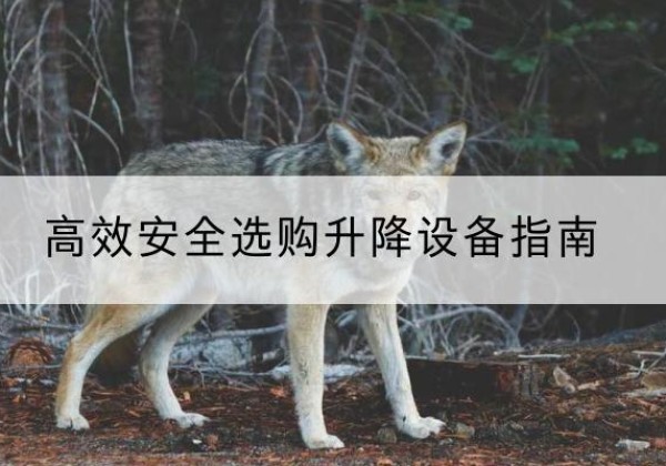 利辛升降货梯厂家推荐-*安全选购升降设备指南