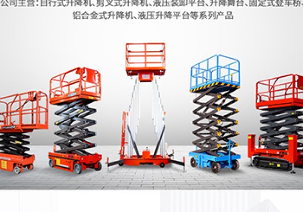 利辛​出口成为核心增长引擎