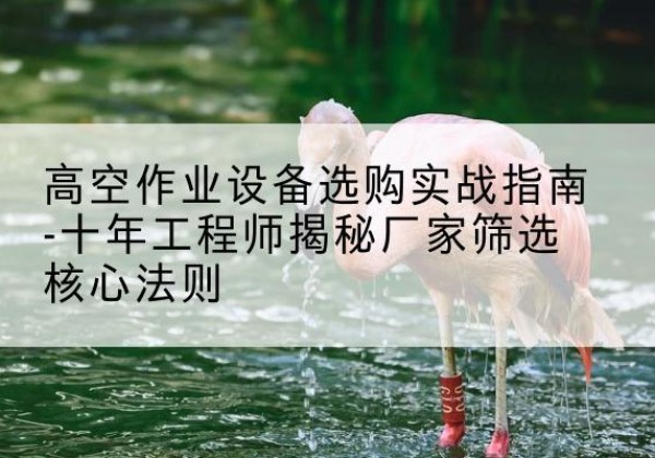 利辛剪叉式升降机厂家-高空作业设备选购实战指南-十年工程师揭秘厂家筛选核心法则